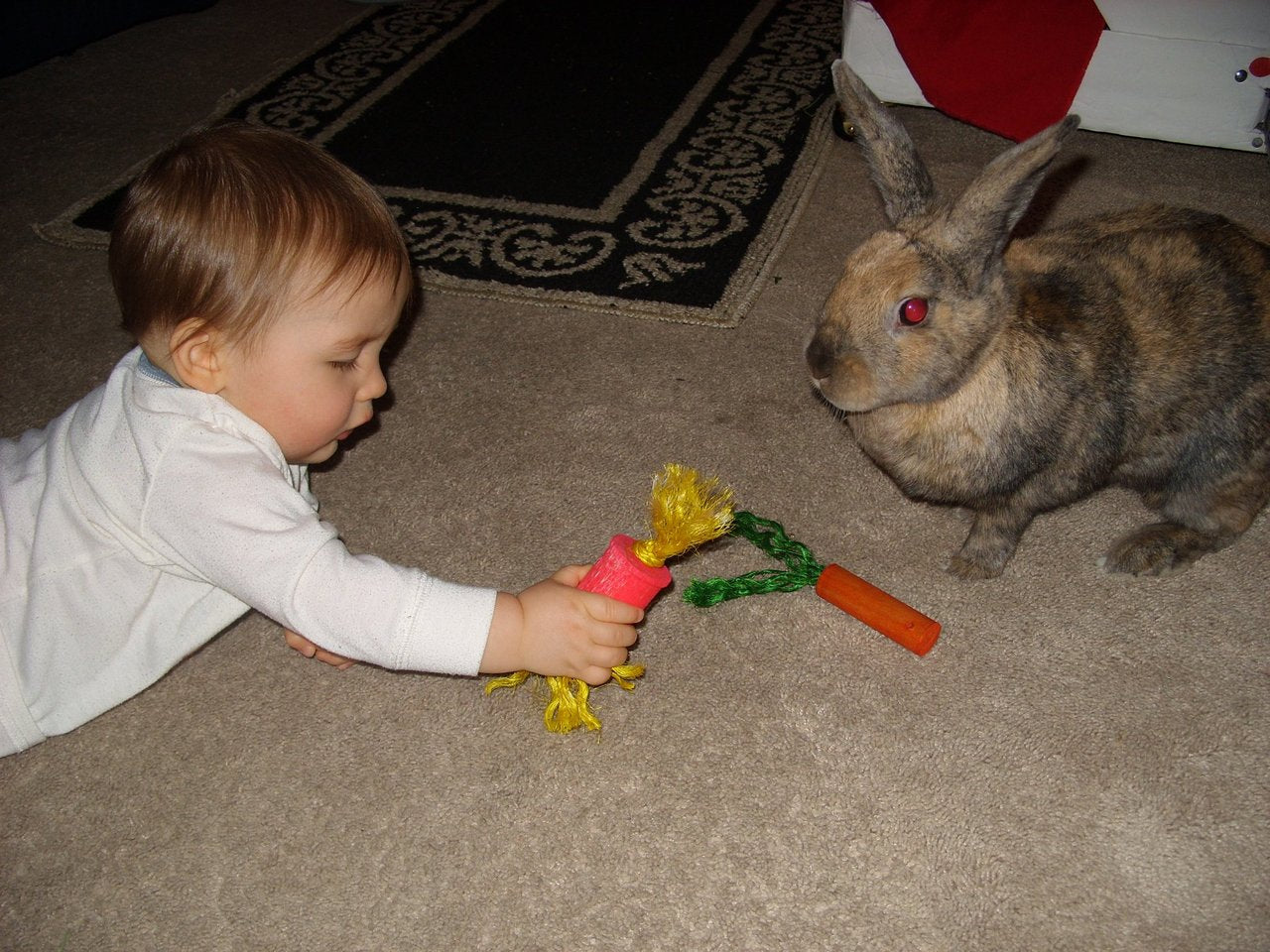 Carrot Rabbit Toy