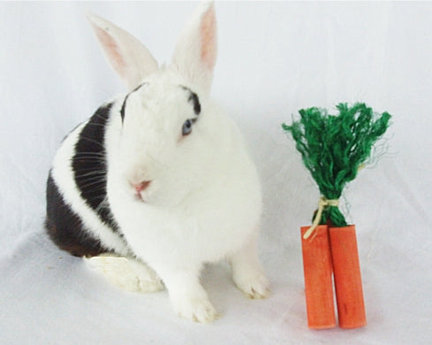 Carrot Rabbit Toy - 3 pk