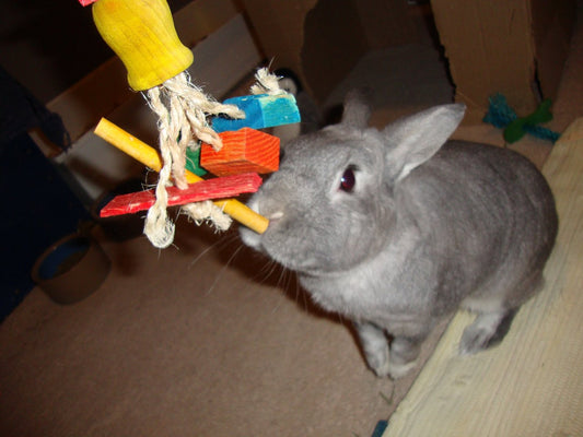 Hanging Sisal Rabbit Toy