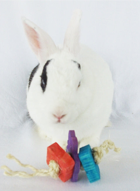 Timali pet sales rabbit toys