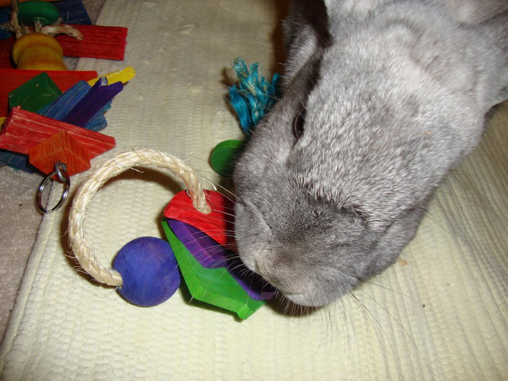 Bunny rabbit keyring new arrivals