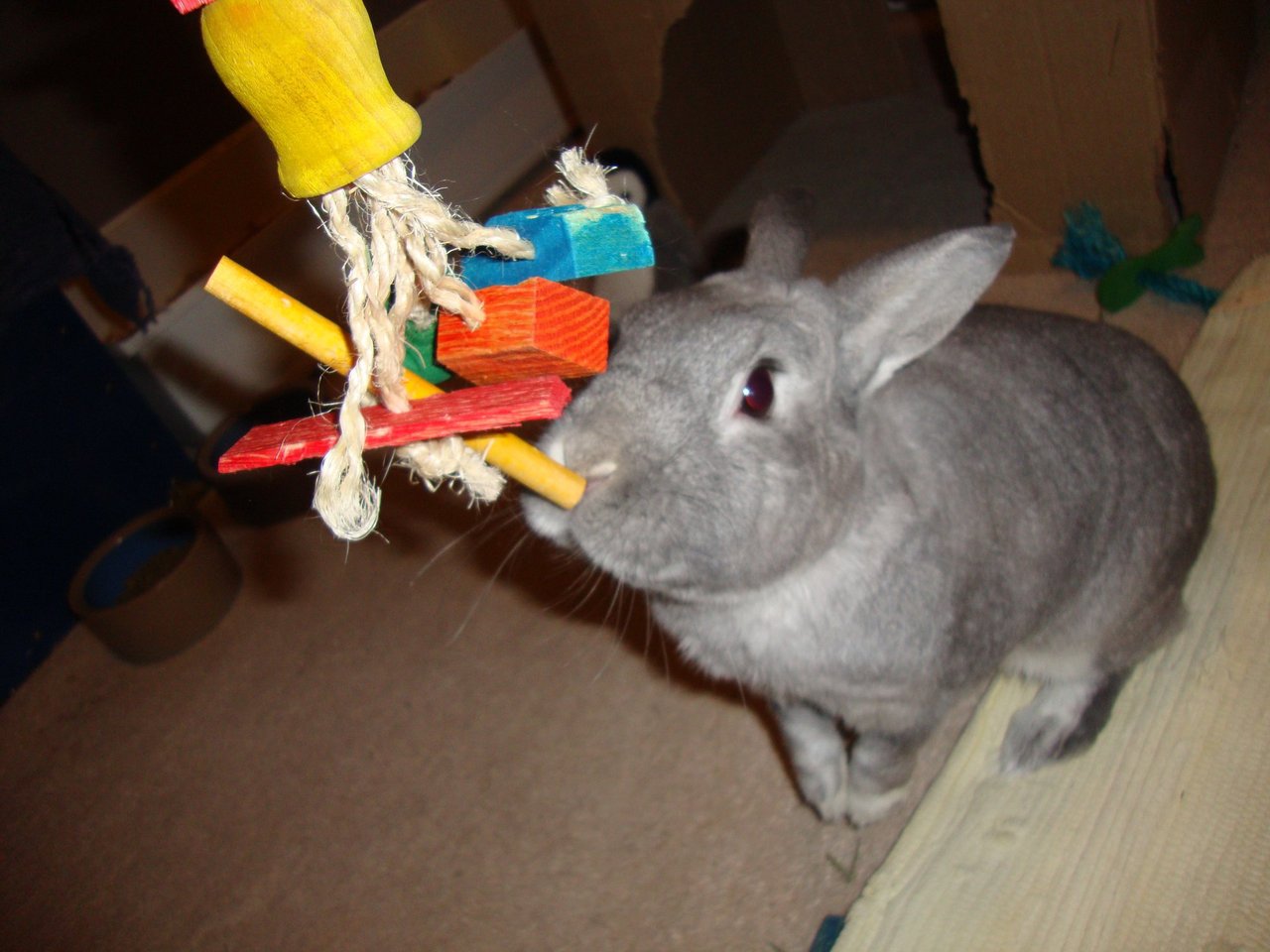 Hanging Sisal Rabbit Toy