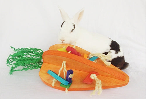 Crazy Carrot Rabbit Playground - Medium
