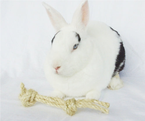 Sisal Rope Bone Rabbit Toy Natural Happy Rabbit Toys