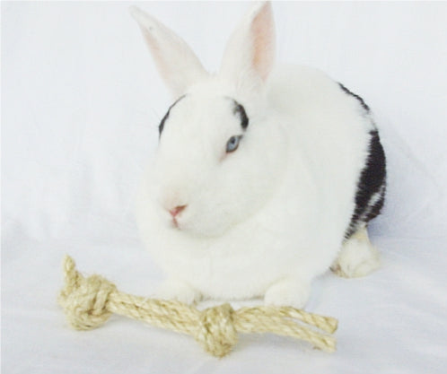 Sisal Rope Bone Rabbit Toy - Natural