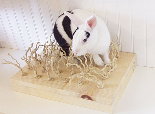 Sisal Carpet Chewing and Digging Station Happy Rabbit Toys