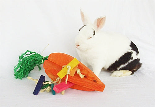 Crazy Carrot Rabbit Playground - Small
